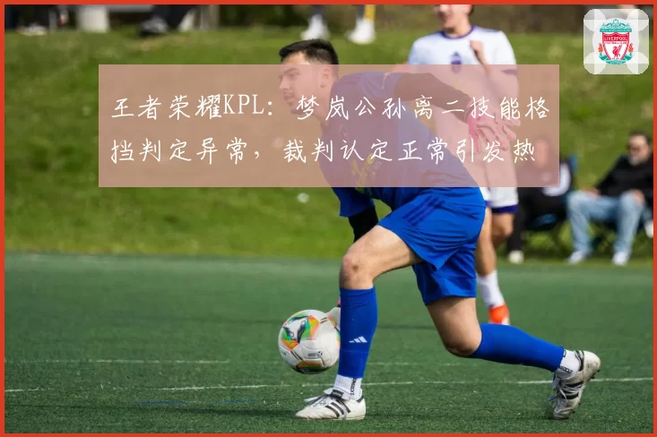 王者荣耀KPL：梦岚公孙离二技能格挡判定异常，裁判认定正常引发热议